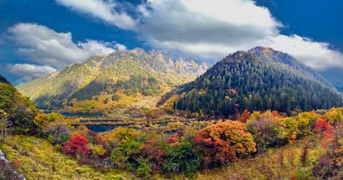樹正群海
